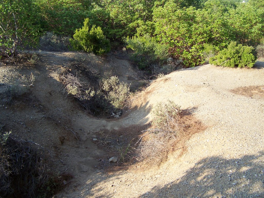 Really trenches by enderbalgun