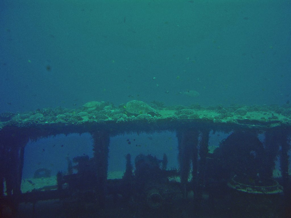 Underwater Waikiki by Filippos Azariadis