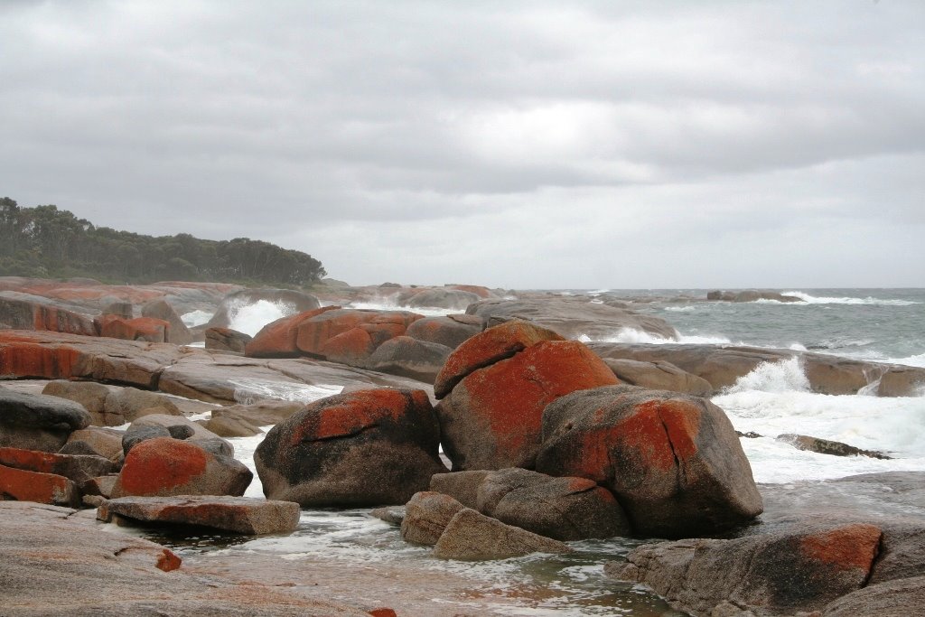 Blowhole, Bicheno, Tasmania by Theo V L