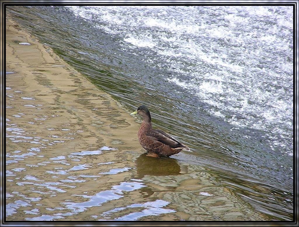 Bain de pieds... by Teddy-Ada