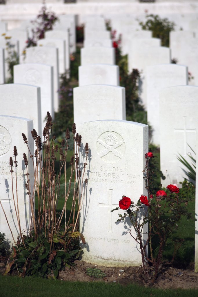 Tyne Cot Cemetery, Zonnebeke, West-Vlaanderen, België by Hans Sterkendries