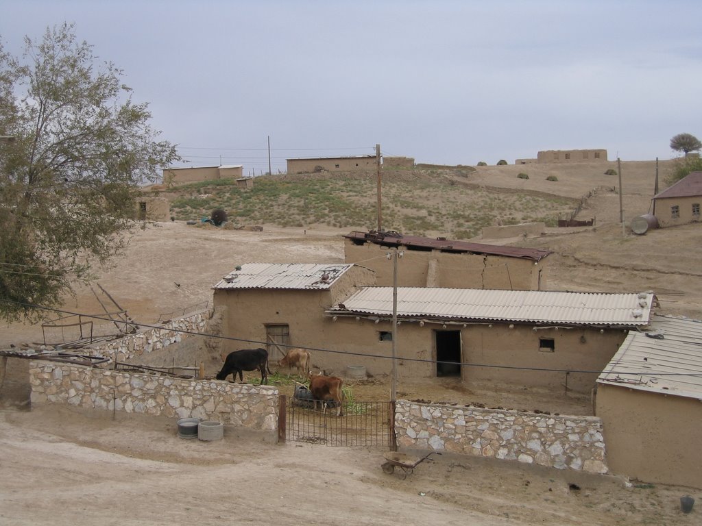 Entre Shahrisabz et Samarkand by Michel ODIC