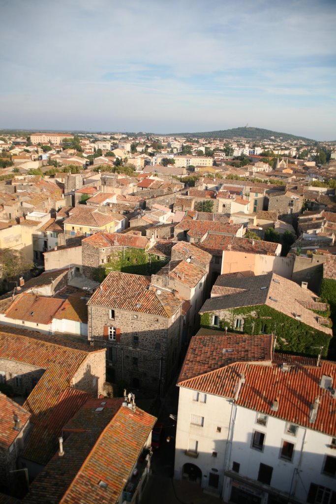 Agde, Hérault, Languedoc-Roussillon, France by Hans Sterkendries