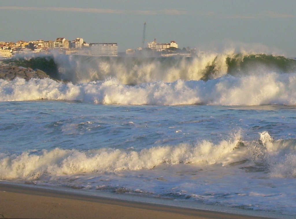 TEMPORAL A SANT ANTONI DE CALONGE by Joan Gol