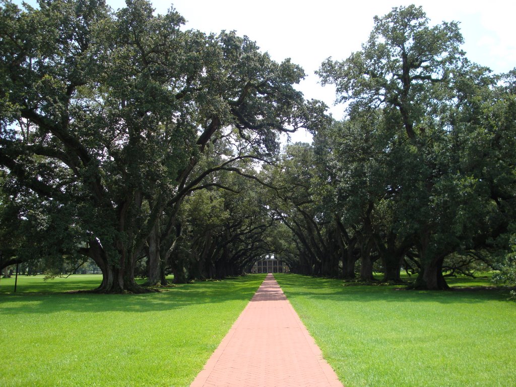 Oak Alley Plantation, Louisiana by ghiaccio68