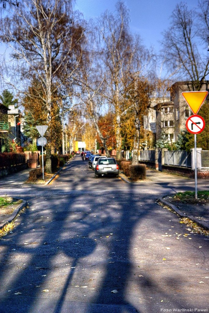 Osiedle Leśne, Bydgoszcz, Poland by Pawel