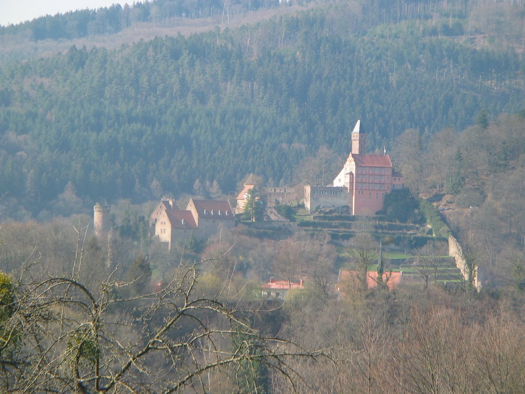 Castle of Hirschhorn/Neckar by trillian