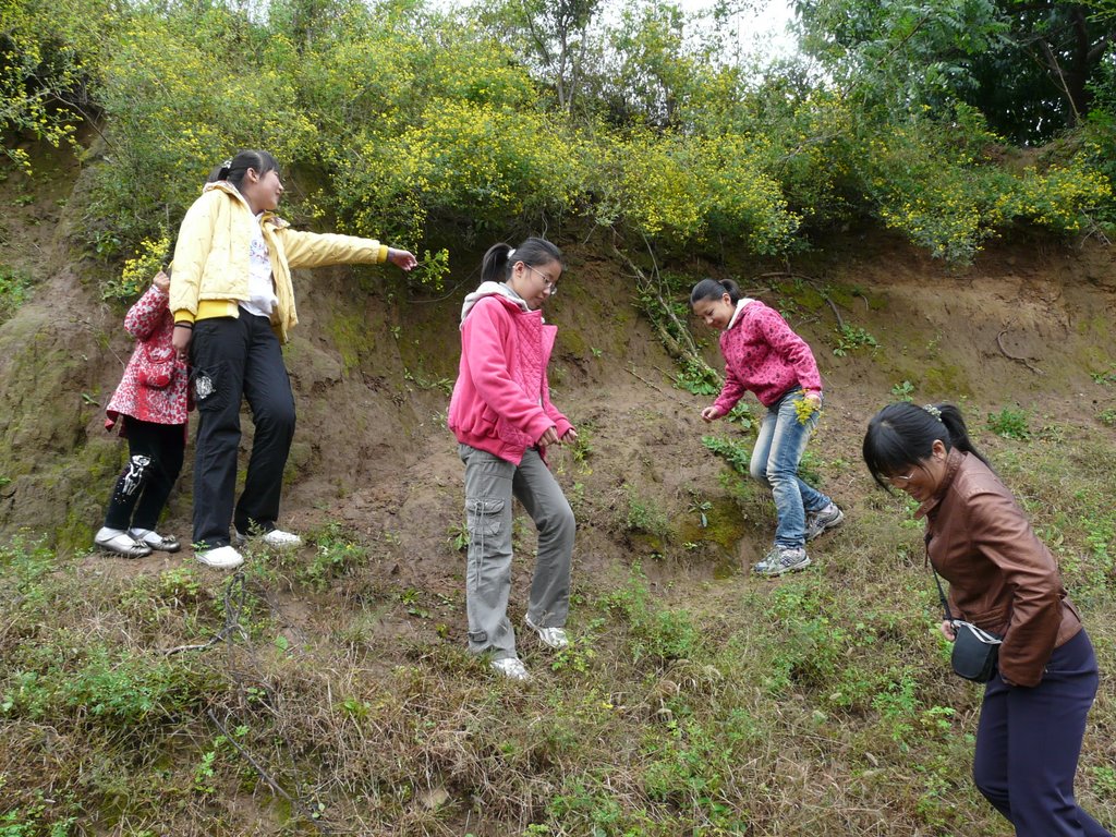 美丽的杨家庄村欢迎您，坨南乡，满城县，保定市，河北省 by syjbeyond