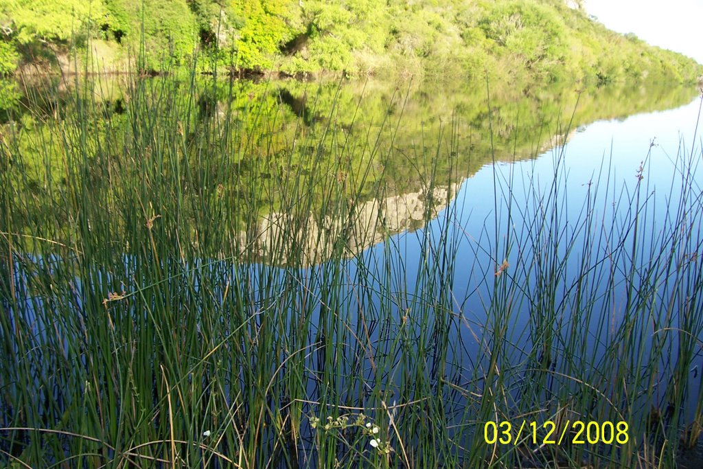 COMO UN ESPEJO, LAGUNA DE LOS CUERVOS by ETRA