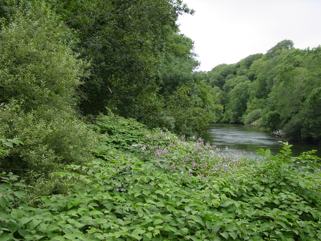 The River Below Cilgerran Castle by SHot70