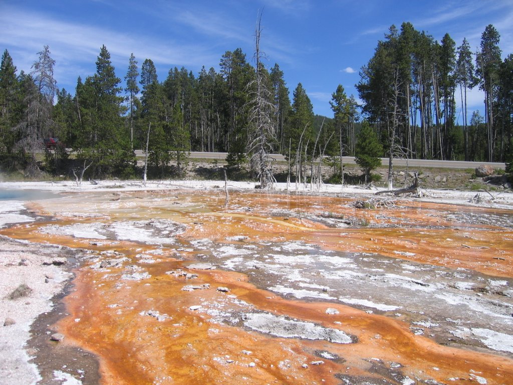 Yellowstone Park by ozfoster