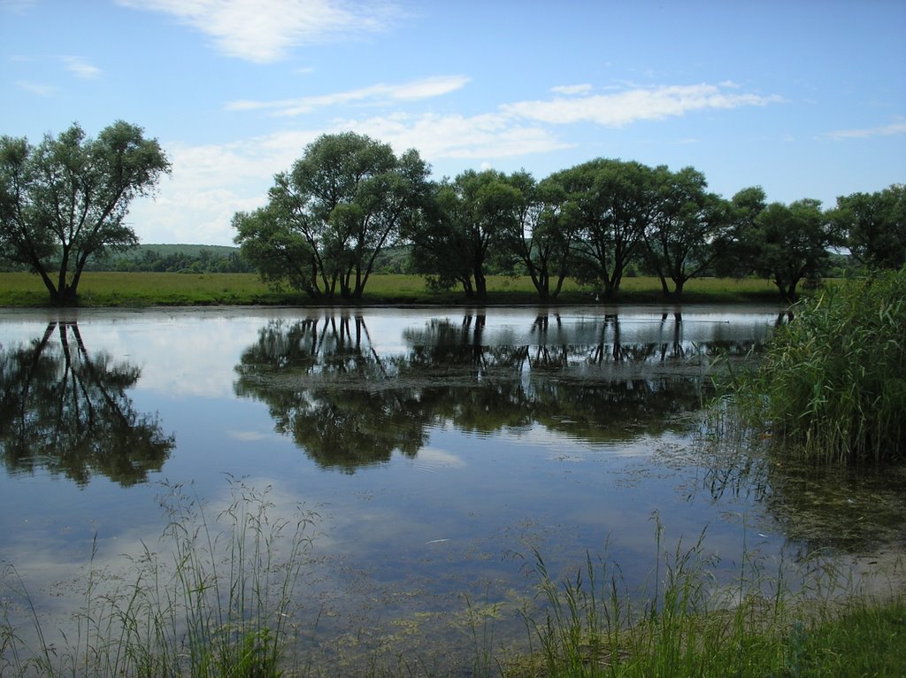 Lake v. Peski by Tolstov