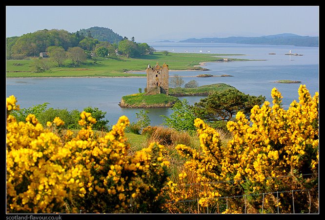 Castle Stalker, Appin, West Highlands, Scotland by scotlandflavour