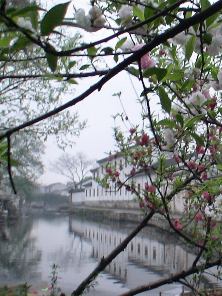 Shaoxing by DJ111LI