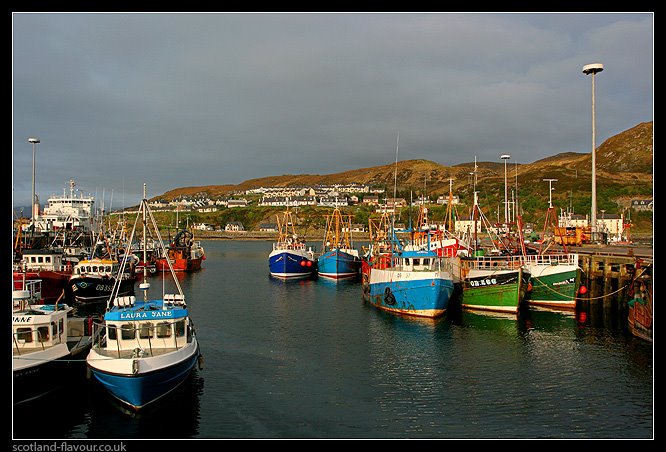 Fishing boats in Mallaig harbour, west coast of Scotland by scotlandflavour