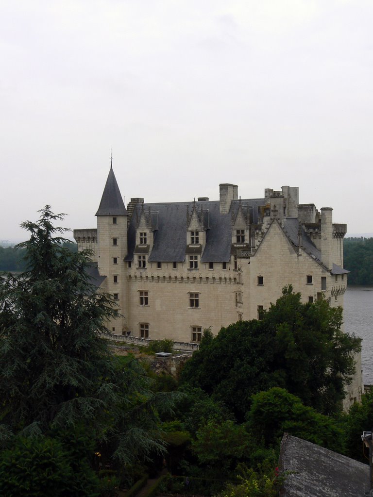 Montsoreau, FRANCE by Cyril Durand