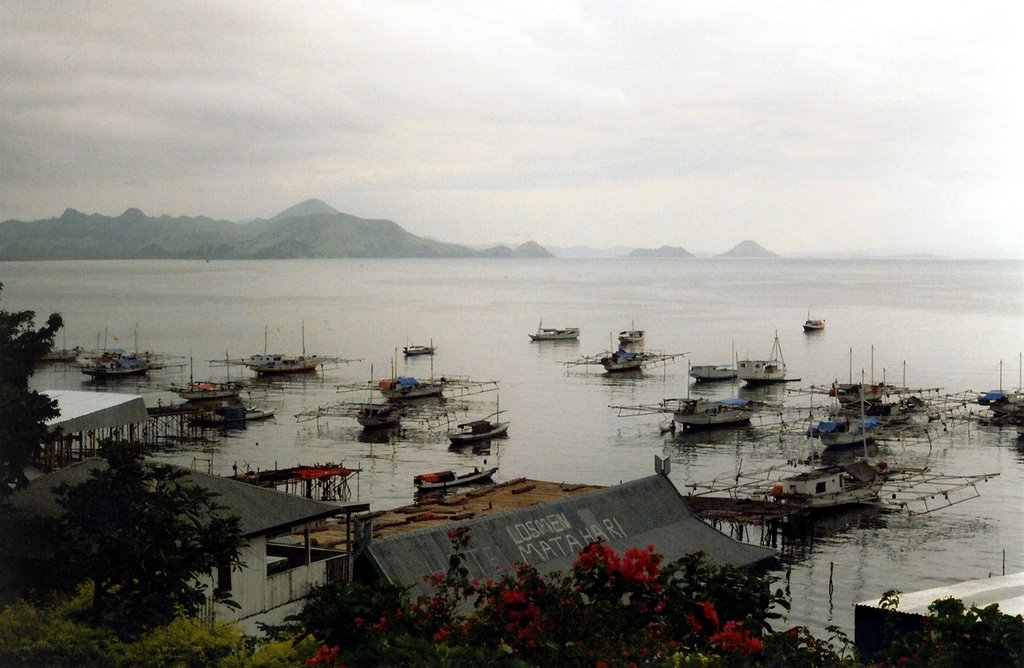 Labuhanbajo Port by sunmaya