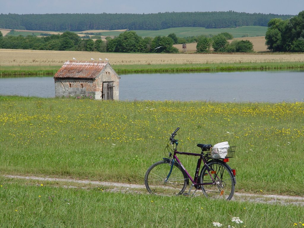 Bei Linden im Sommer 2008 by wobiku