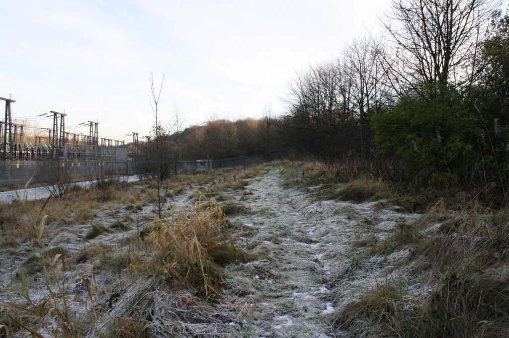 Frozen path near the canal by nickeaj