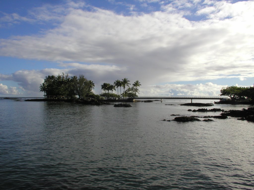 Coconut Island by Talena Adams