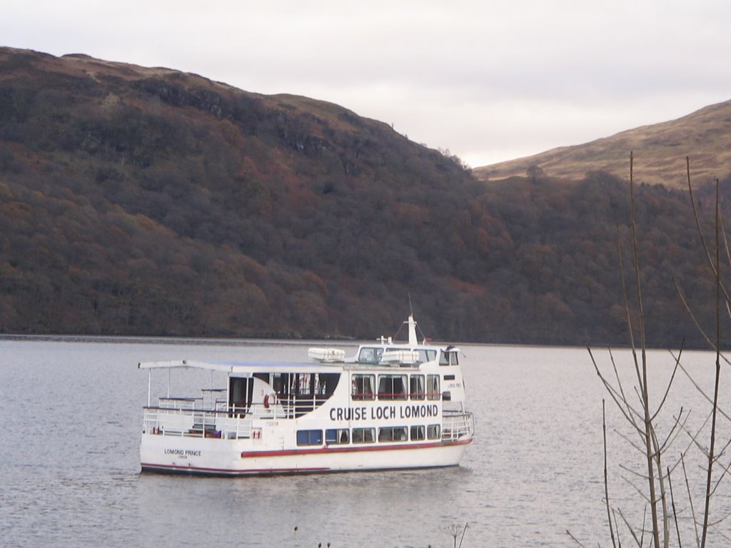 Loch Lomond. De camino hacia Inverardran House. by José Tamarit Devis