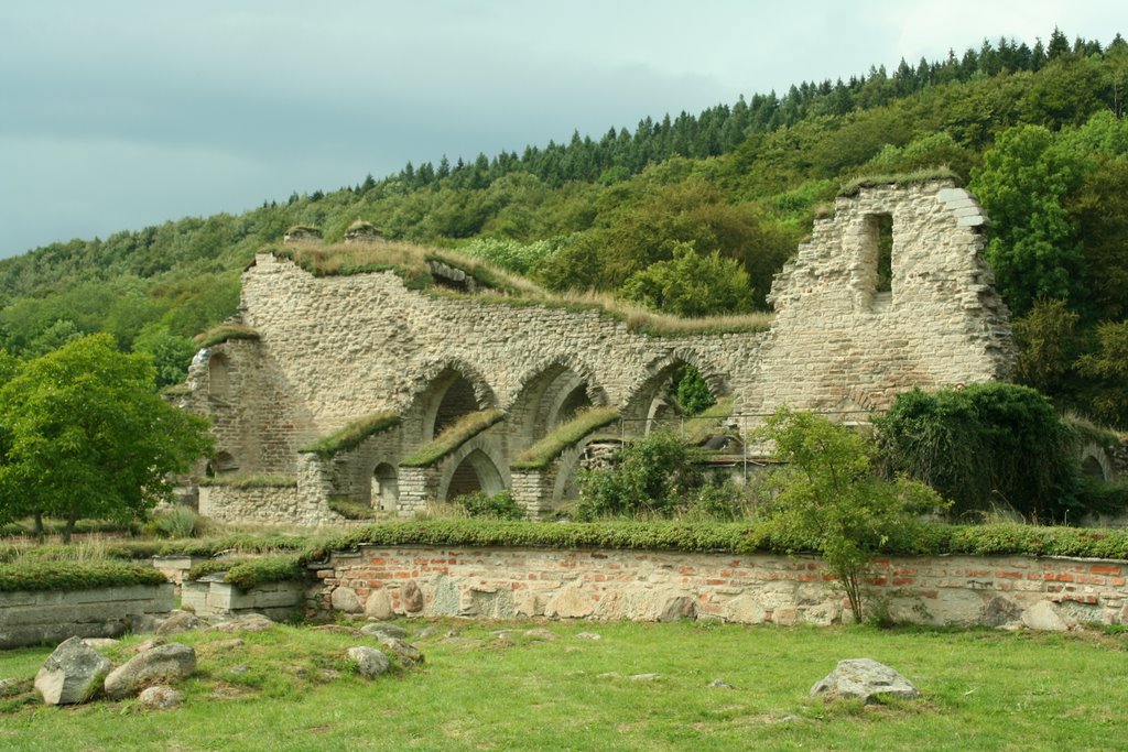 Alvastra ruins by Niels Bosboom