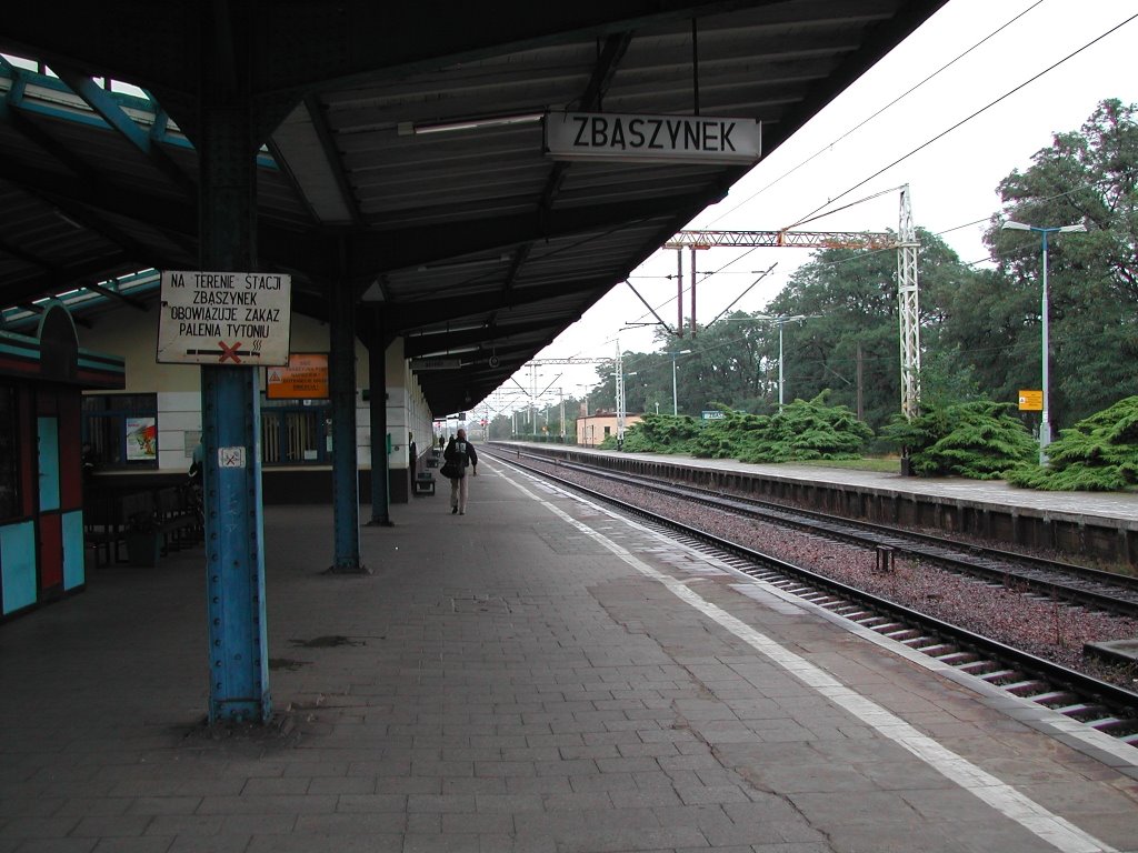 Zbąszynek - train station by curious666