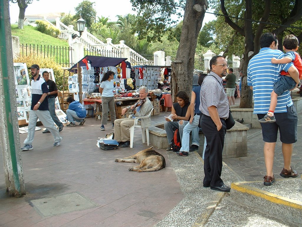 Parque Sauzalito by Manuel Angel Postigo…