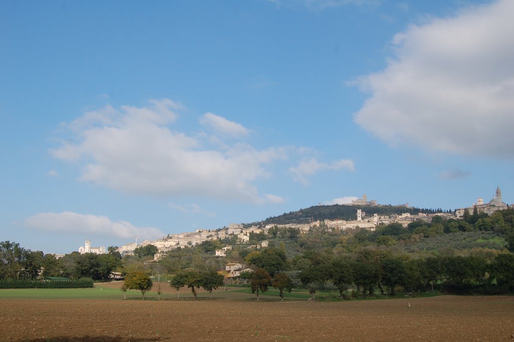 Assisi - town whith the castle by vito59