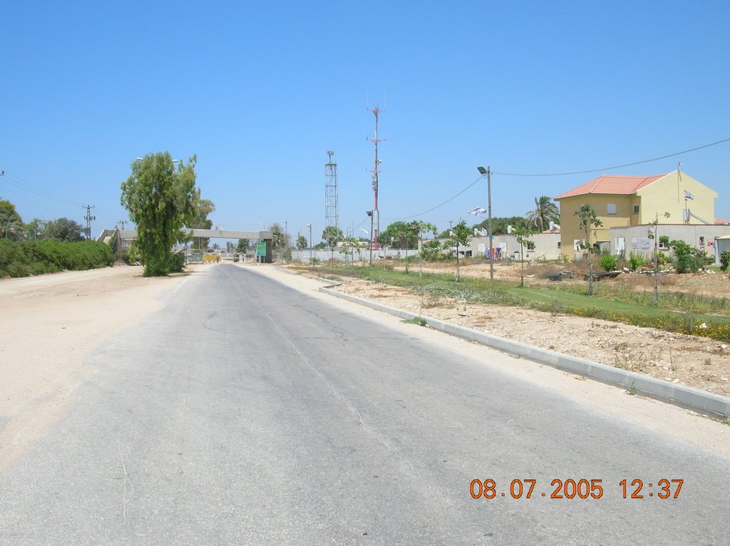 Kfar Darom houses on the main road by David Gurevich