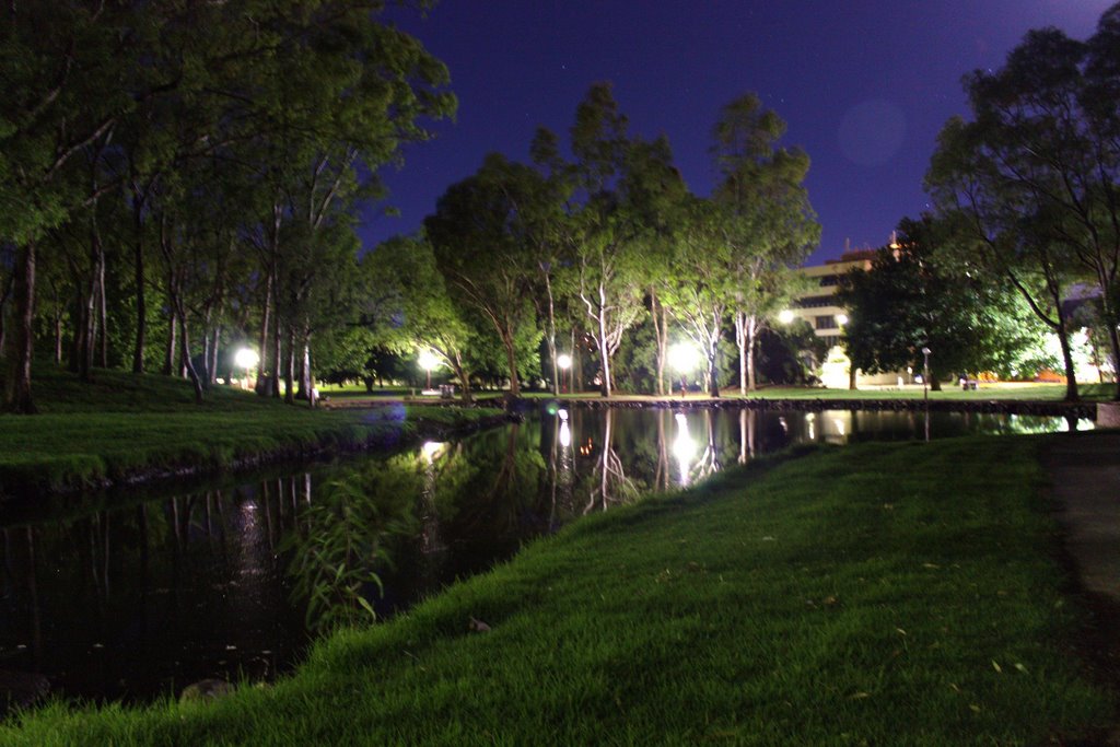 Night at Bicentennial Park by Michael Gill