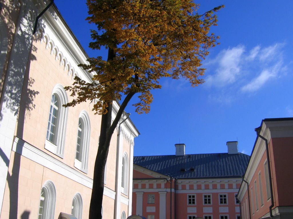 Tartu University by vipe