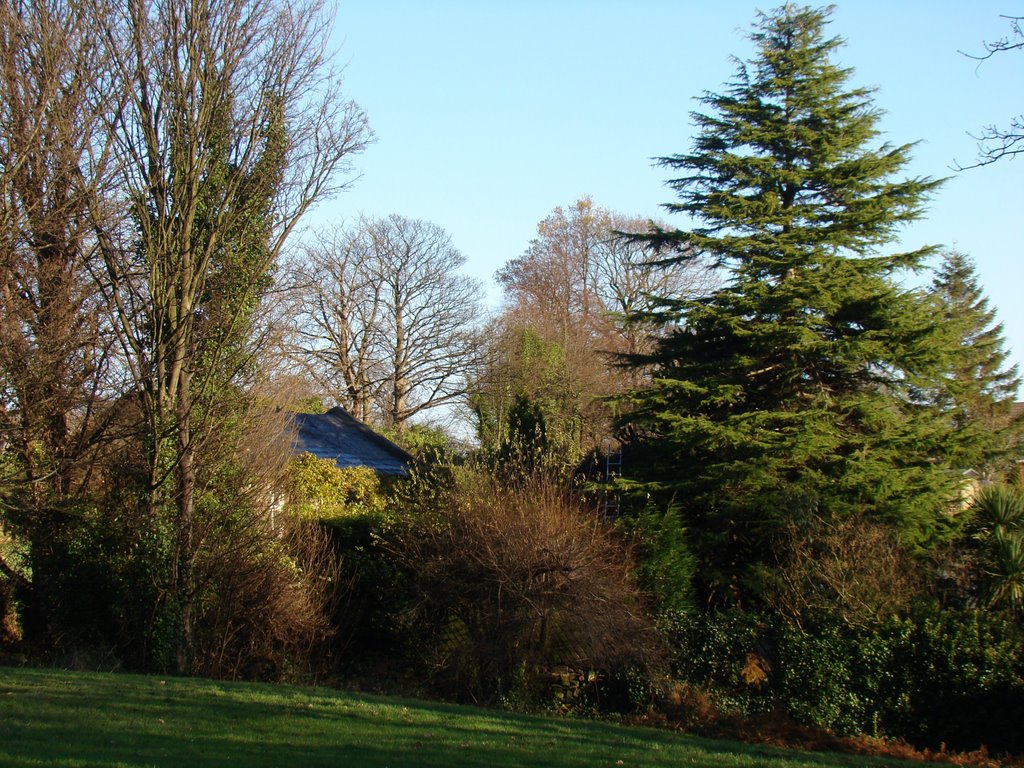 Cottage amongst the trees near Little Haggas Croft, Loxley, Sheffield S6 by sixxsix