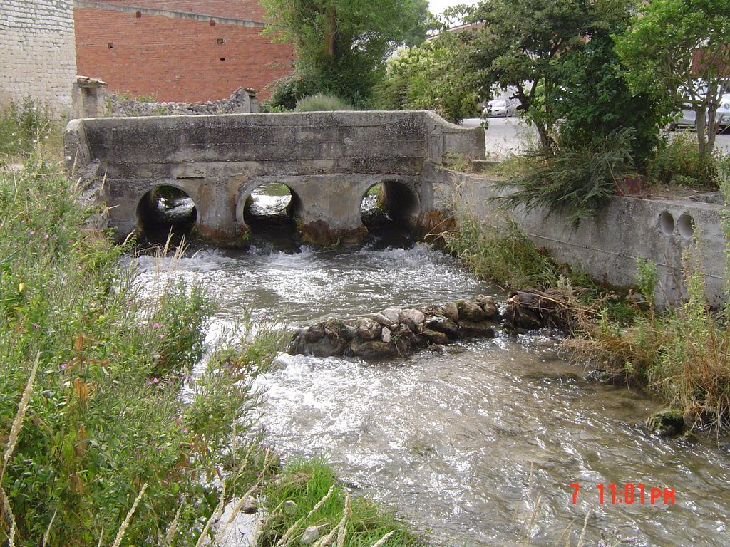 Puente-rio franco by daciop