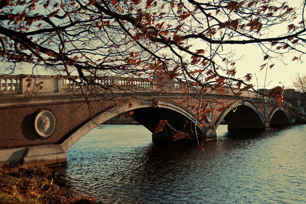 Weeks foot bridge by rubenlatre