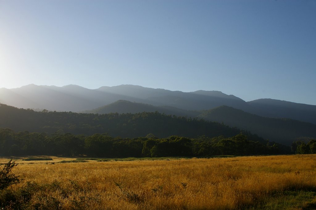 Geehi camping ground. Sunrise by Peter Neaum