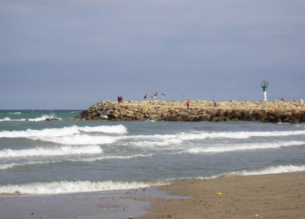 Vuelo de gaviotas en Port Saplaya by carmenmiramadrid >>NO VIEWS<<