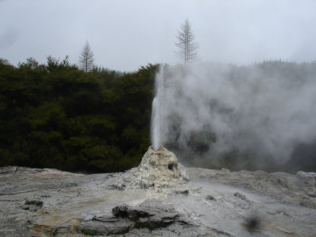 Lady knox Geiser Waiotapu New zealand by wiep keikes