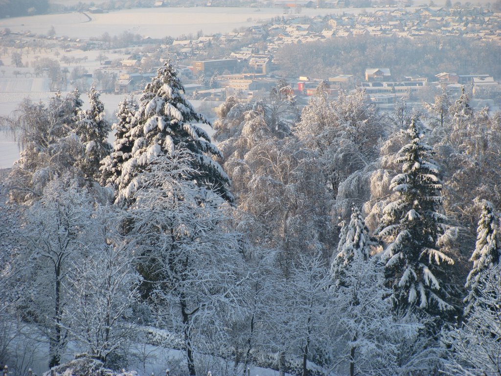 Blick auf Gammelshausen by helmi0654