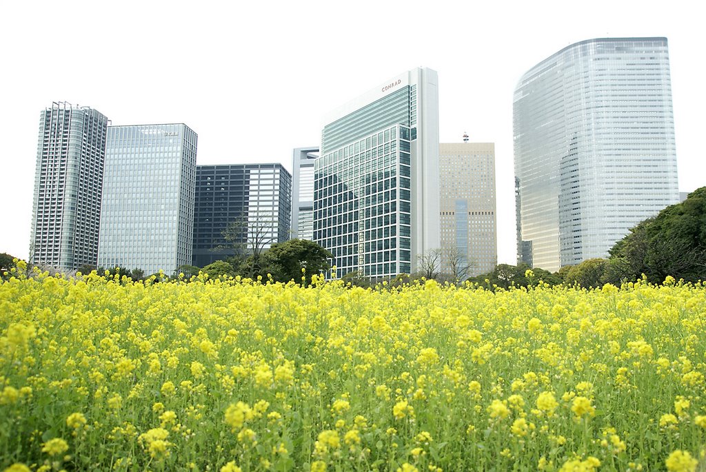 Hamarikyu Onshi Garden by kumakkinen