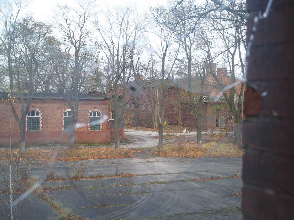 Fensterblick auf den ehemaligen Übungsplatz der GSSD by internati