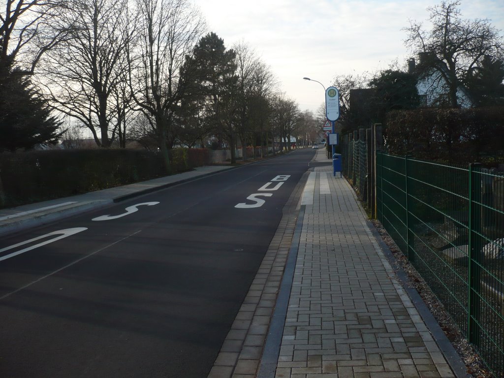 Magdalenenstr. Troisdorf Oberlar 12.08 by cologne0108