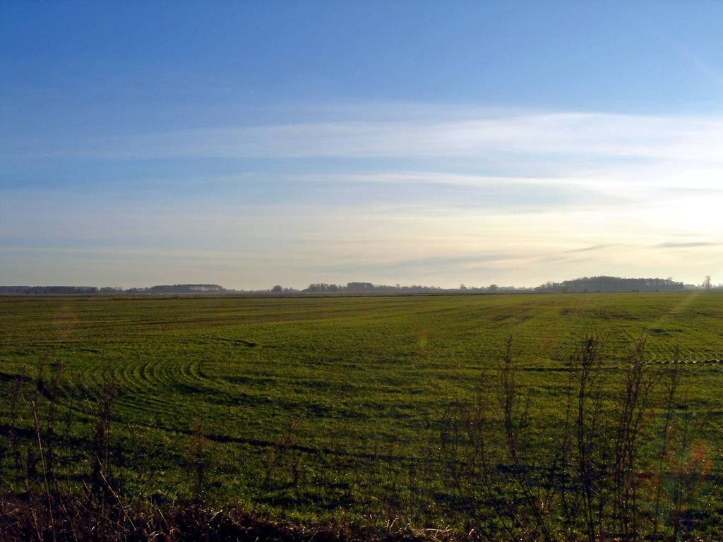 Plains of Zemgale in winter by ainars brūvelis