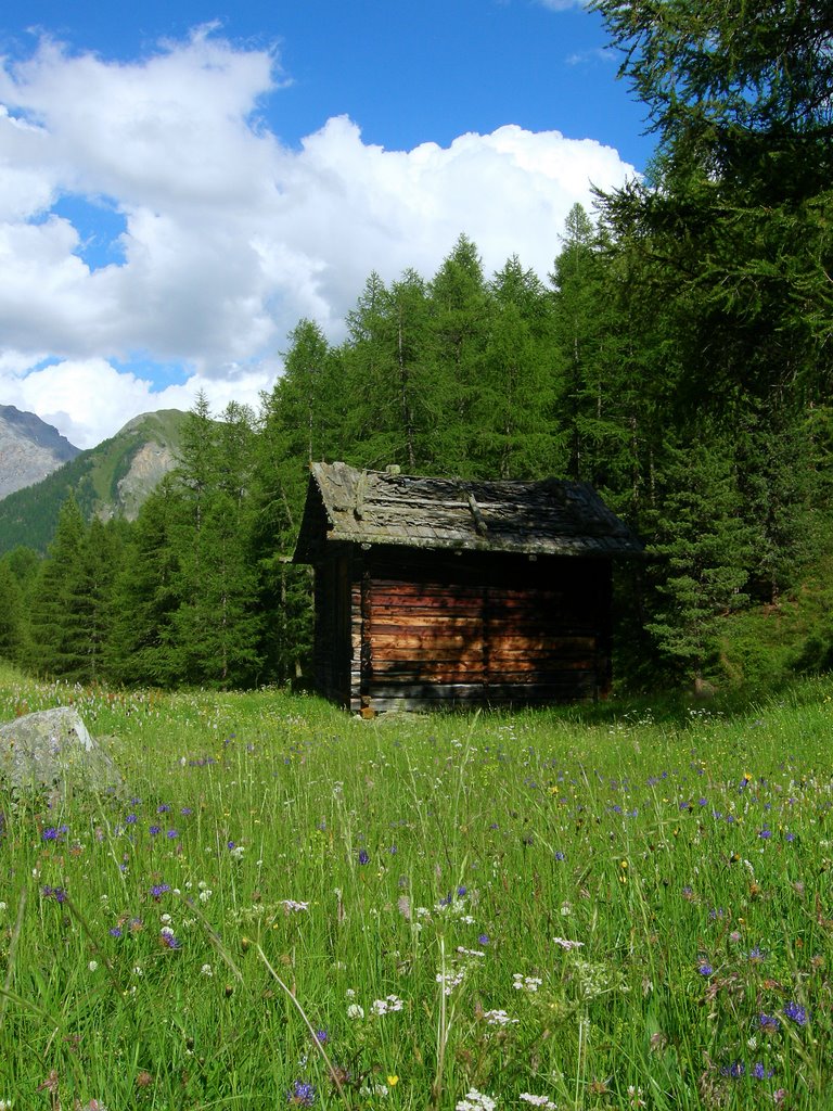 Baita in Val Federia by Sara Baggio