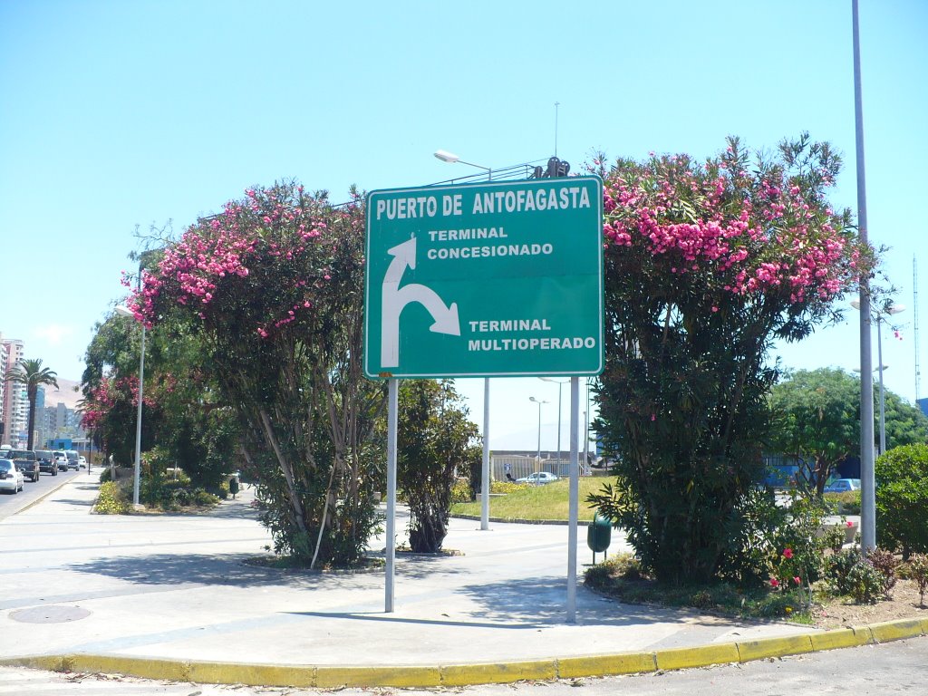 Entrada Puerto de Antofagasta by Challenger Australis