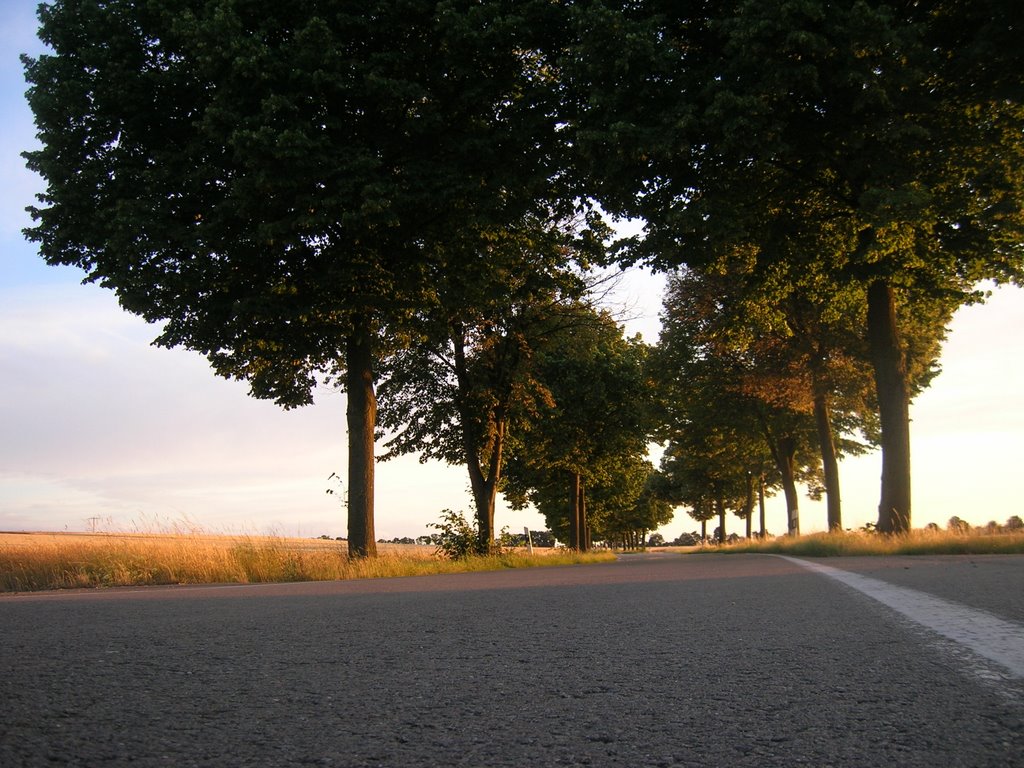 Landstraße nach Nack by Sellighsphire