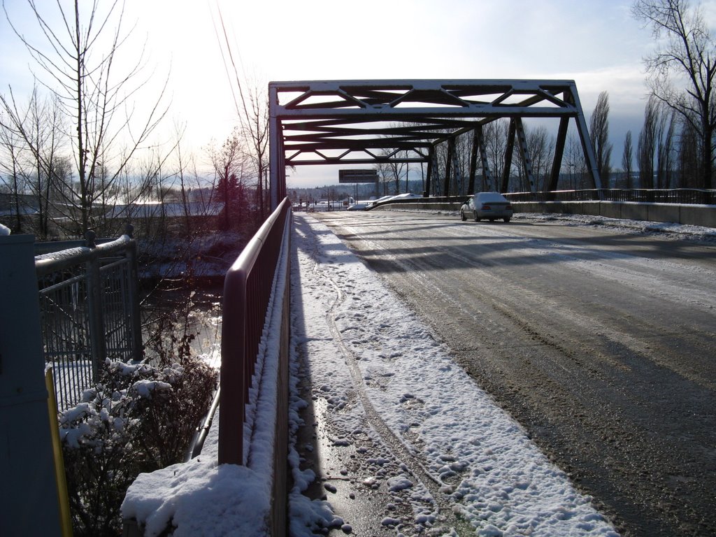 Avenue D bridge by donaldb