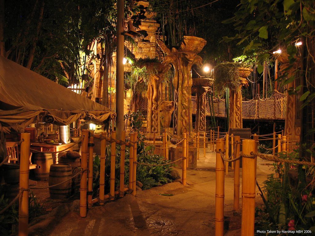 Disneyland Resort, Indiana Jones Adventure by NaviMap