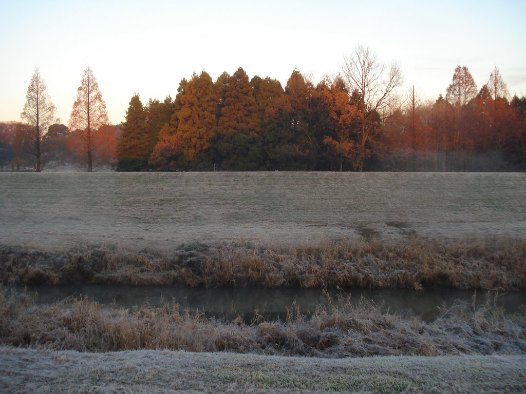 Unga-frosty morning 1 by Yukiko8888