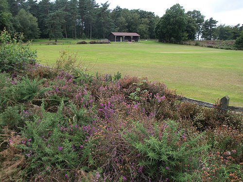 Coldharbour Cricket Club by Gordon Abben